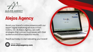 Achieve Success with SEO in Fort Collins – Start Today