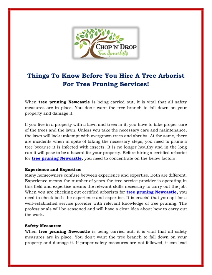 things to know before you hire a tree arborist