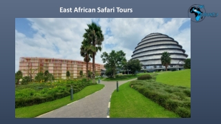 East African Safari Tours