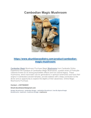 Cambodian Magic Mushroom PDF