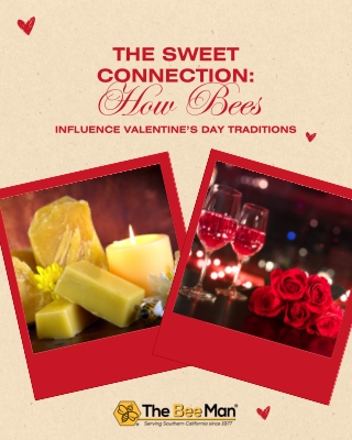 The Sweet Connection How Bees Influence Valentine’s Day Traditions