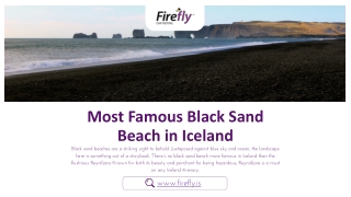 Black Sand Beach is the Most Famous Spot in Iceland