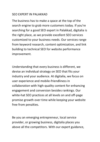 seo expert in palakkad