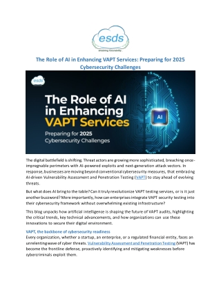 The Role of AI in Enhancing VAPT Services Preparing for 2025 Cybersecurity Challenges