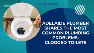 Adelaide Plumber Shares The Most Common Plumbing Problems Clogged Toilets