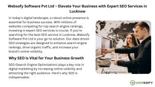Websofy Software Pvt Ltd – Elevate Your Business with Expert SEO Services in Lucknow