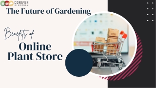 How to Choose the Best Online Plant Store