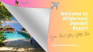 Best Resorts in Dandeli: Wildernest Dandeli Resort
