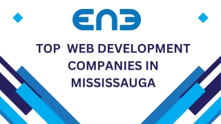 top web development companies in mississauga
