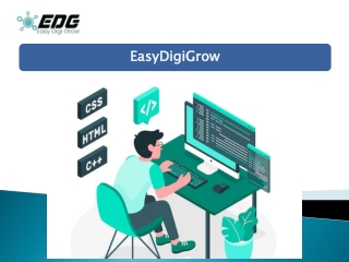 What to Expect from a Leading Website Development Agency in Delhi