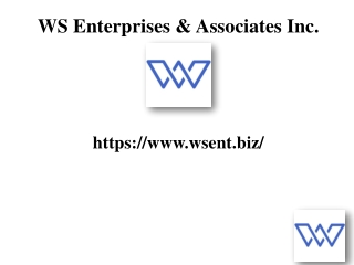 ws enterprises associates inc