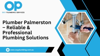 Plumber Palmerston
