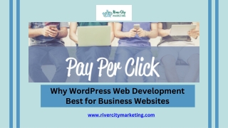 why wordpress web development best for business