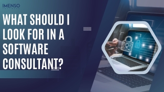 what should i look for in a software consultant