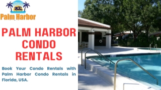 Palm Harbor condo rentals