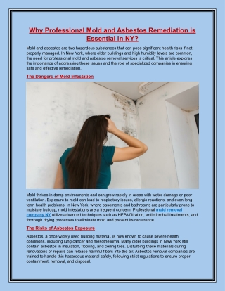 Why Professional Mold and Asbestos Remediation is Essential in NY