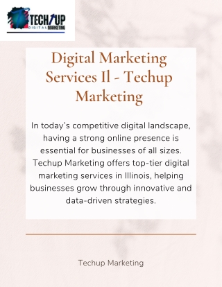 digital marketing services il techup marketing