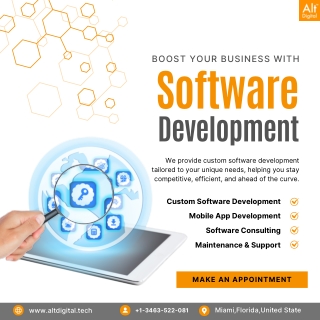 Software Development Services
