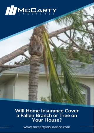 Will Home Insurance Cover a Fallen Branch or Tree on Your House?