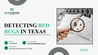 Expert Bed Bug Inspection in Texas: Detecting Signs of Bed Bugs