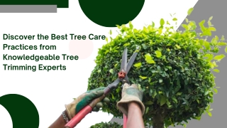 Enhancing Your Trees' Natural Elegance