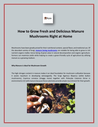 How to Grow Fresh and Delicious Manure Mushrooms Right at Home