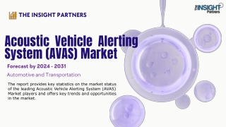 the insight partners