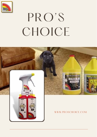 Odor Eliminator Products – Keeps Upholstery Safe and Odor-Free