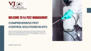 VJ Pest Management Comprehensive Pest Control Solutions in NYC