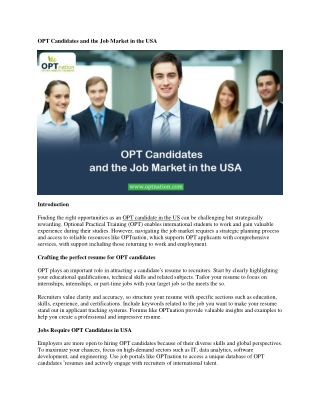 OPT Candidates and the Job Market in the USA