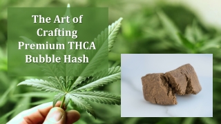 The Art of Crafting Premium THCA Bubble Hash