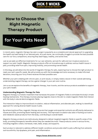 How to Choose the Right Magnetic Therapy Product for Your Pets Need