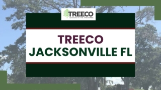 Treeco Jacksonville FL