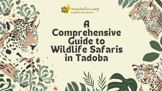 a comprehensive guide to wildlife safaris in tadoba