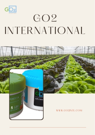 Chlorine Dioxide Solutions – Remove All Sorts of Problems in Water