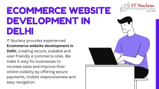 Ecommerce website development in Delhi
