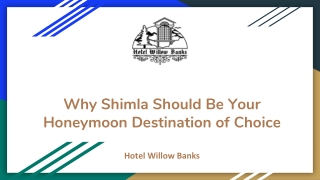 Why Shimla Should Be Your Honeymoon Destination of Choice