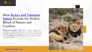 How Kenya and Tanzania Safaris Provide the Perfect Blend of Nature and Comfort