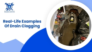 Real-Life Examples Of Drain Clogging (And How Professionals Fixed Them With Drain Snaking!)