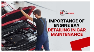 Importance of Engine Bay Detailing in Car Maintenance