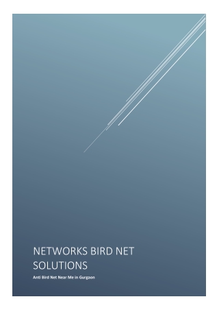 Say Goodbye to Bird Troubles – Best Anti Bird Net Near Me in Gurgaon