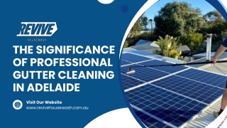 The Significance of Professional Gutter Cleaning in Adelaide