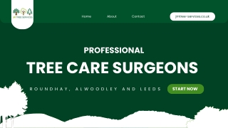 Professional Tree care surgeons in Roundhay, Alwoodley and Leeds1