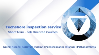 techshore inspection service