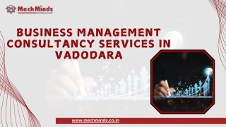 Business Management Consultancy in Vadodara