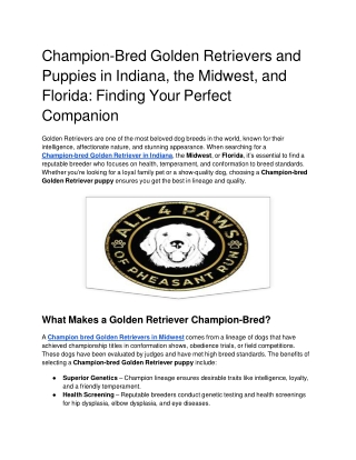 Champion-Bred Golden Retrievers and Puppies in Indiana, the Midwest, and Florida_ Finding Your Perfect Companion