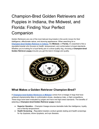 Champion-Bred Golden Retrievers and Puppies in Indiana, the Midwest, and Florida_ Finding Your Perfect Companion