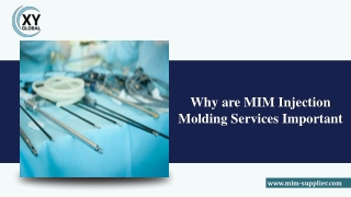 Why are MIM Injection Molding Services Important