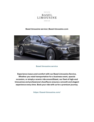 basel limousine service basel limousine com