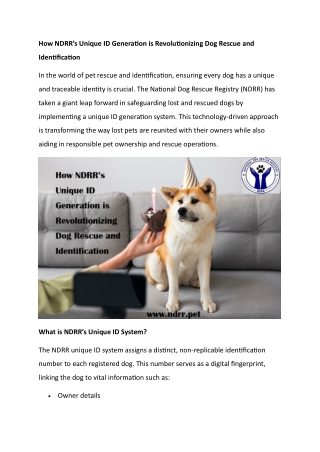 How NDRR’s Unique ID Generation is Revolutionizing Dog Rescue and Identification
